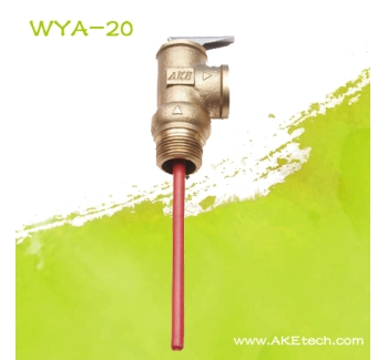 WYA-20 AKE温度压力安全阀六分