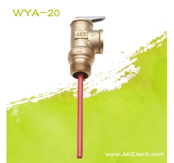 WYA-20 AKE温度压力安全阀六分