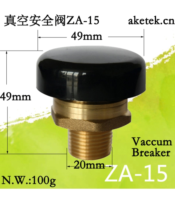 WYA-20 AKE温度压力安全阀六分